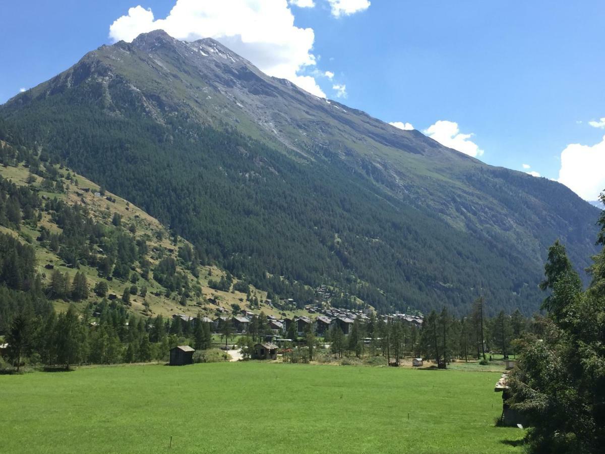 Monte Rosa D 412 Aparthotel Täsch Buitenkant foto