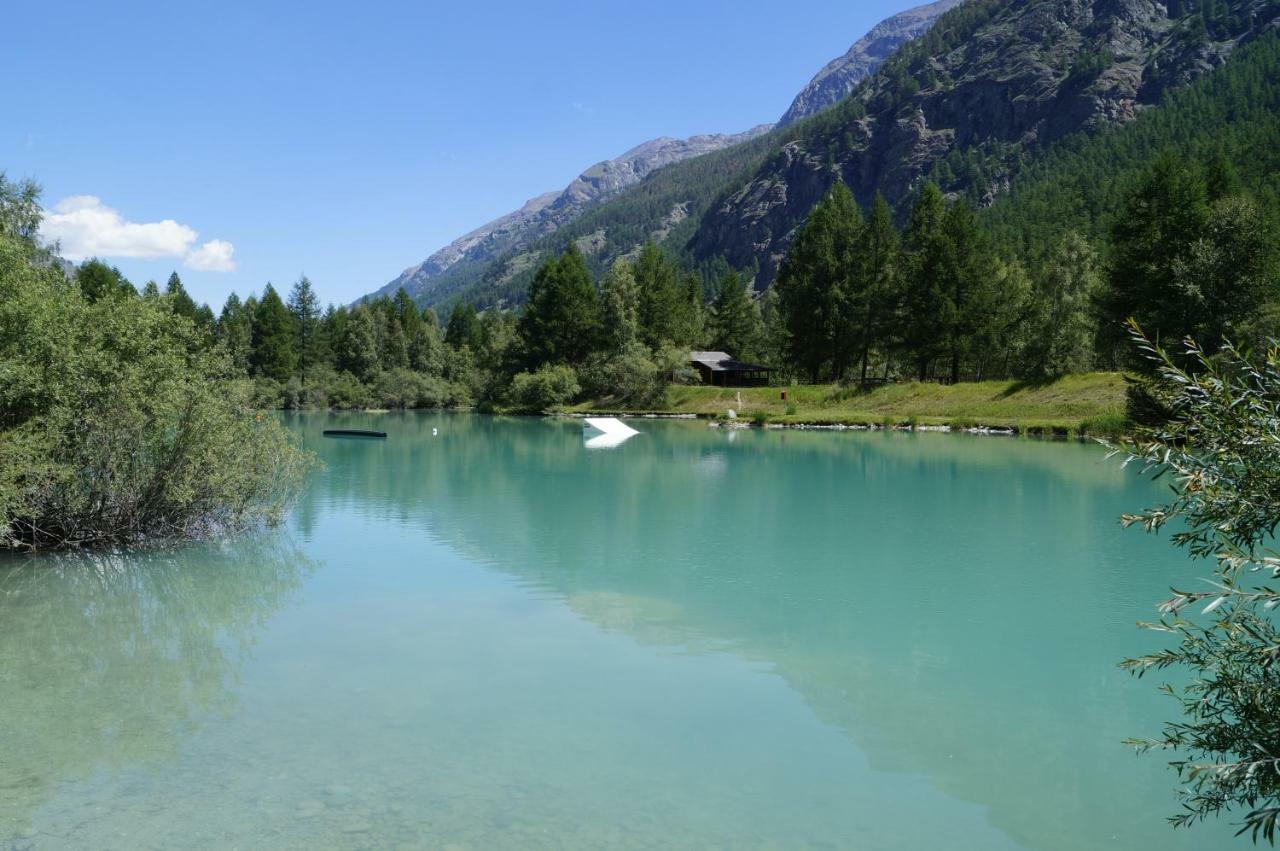 Monte Rosa D 412 Aparthotel Täsch Buitenkant foto
